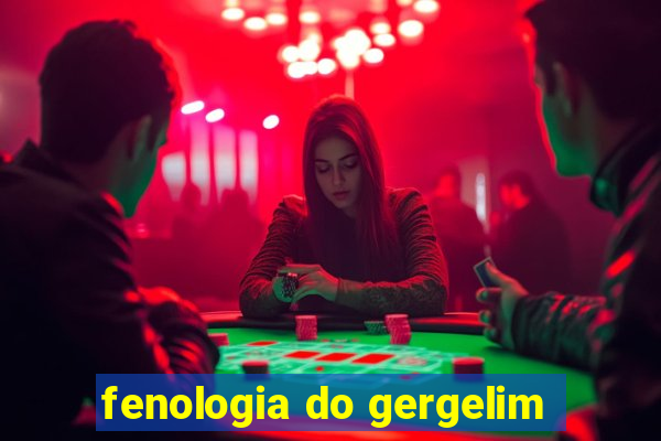 fenologia do gergelim